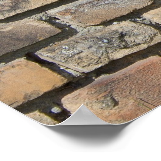  Brick Wall Poster (Hoek)
