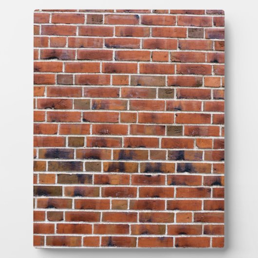 Brick-wand met gewrichten fotoplaat (Voorkant)