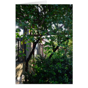 Brickbottom Couryard