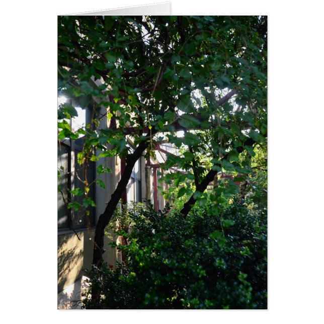 Brickbottom Couryard (Voorkant)