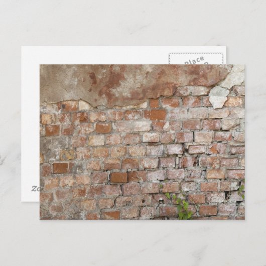 Bricks oude muur briefkaart (Voorkant / Achterkant)