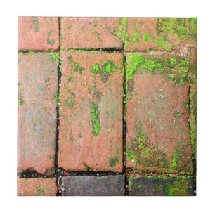 Bricks Walkway Tegeltje