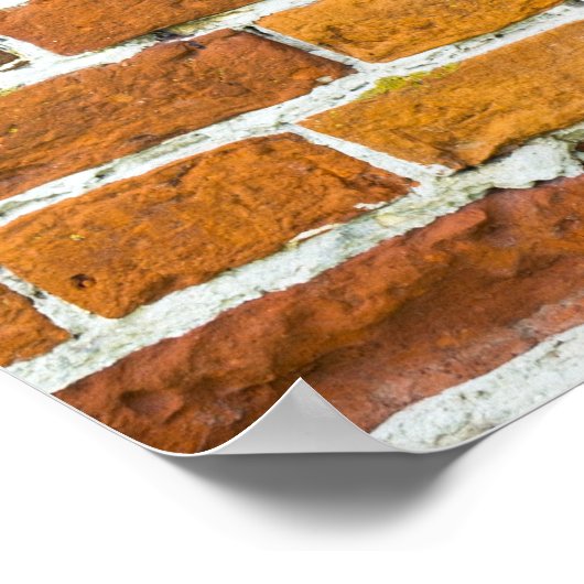 Brickwall Poster (Hoek)