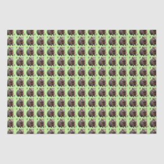 Brickwork Burrow: A Wombat's Green Canvas, Tissuepapier