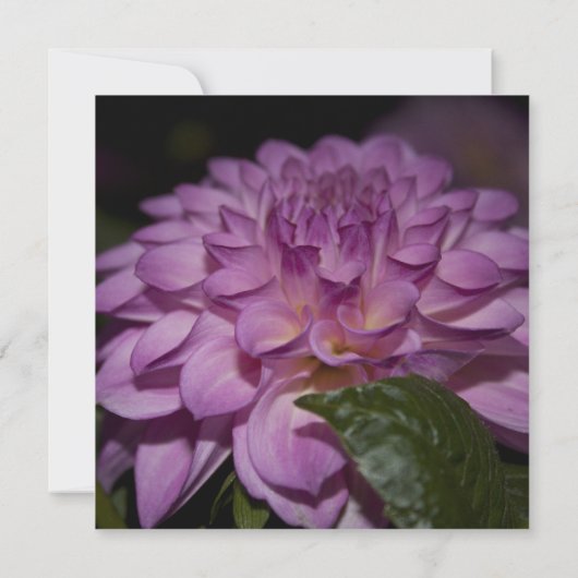 Bridal douche-uitnodiging, paarse dahlia kaart (Achterkant)