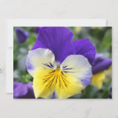 Bridal doucheuitnodiging, blauwe pansiebloem kaart (Achterkant)