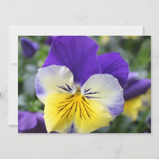 Bridal doucheuitnodiging, blauwe pansiebloem kaart (Achterkant)