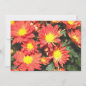 Bridal doucheuitnodiging, oranje dagbloemen kaart (Achterkant)