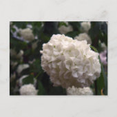 Bridal Flower Briefkaart (Voorkant)