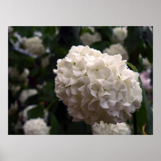 Bridal Flower Poster (Voorkant)