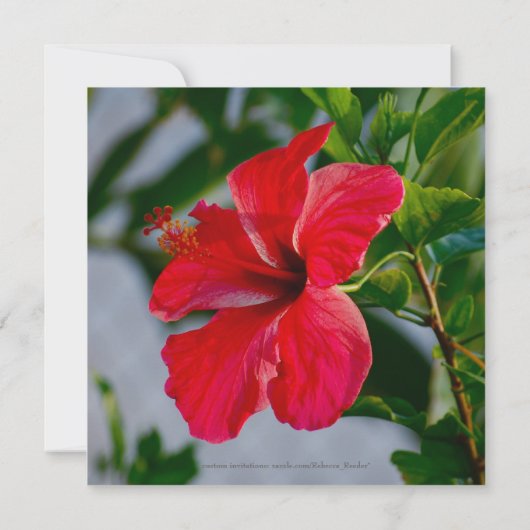 Bridal Luncheon  Tropische Bloemen Kaart (Achterkant)