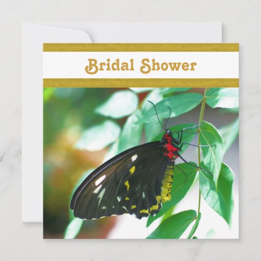 Bridal Natuur Black Butterfly Shower-uitnodiging Kaart (Voorkant)