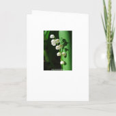 Bridal Shower Invitation Lily van de Valley (Achterkant)