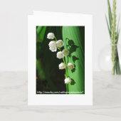 Bridal Shower Invitation Lily van de Valley (Achterkant)