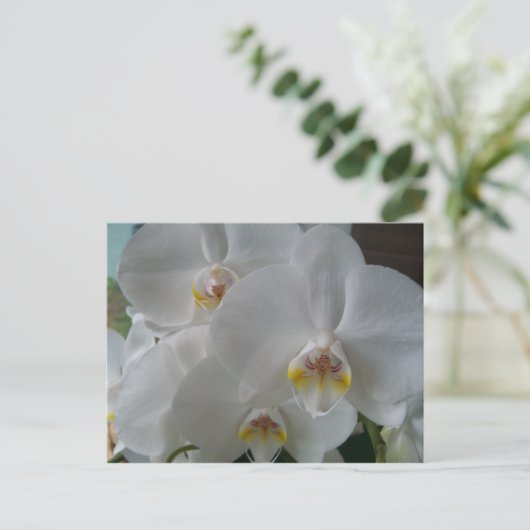 Bridal Shower Invitation White Orchids Briefkaart (Staand voorkant)