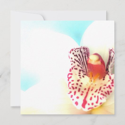 Bridal Shower-uitnodiging Kaart (Achterkant)