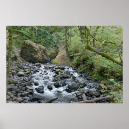 Bridal Veil Falls Trail, Oregon Poster