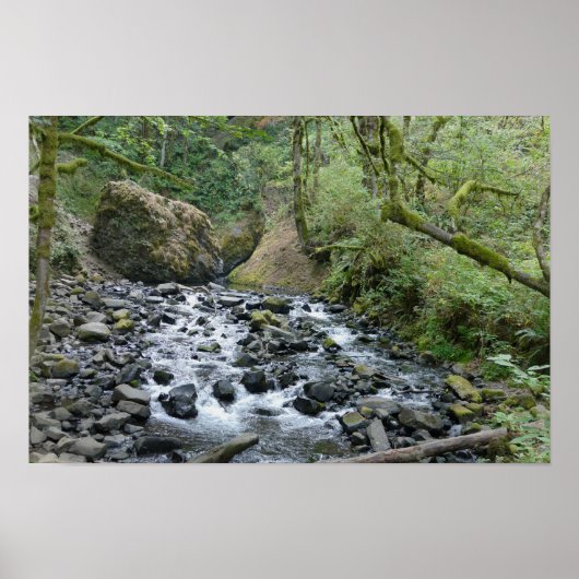 Bridal Veil Falls Trail, Oregon Poster (Voorkant)