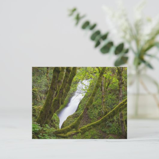 Bridal Veil Herfsten Briefkaart (Staand voorkant)