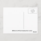 Bridal Veil Herfsten Briefkaart (Achterkant)