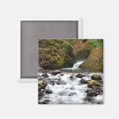 Bridal Veil Herfsten Creek Magnet (Voorkant / Achterkant)