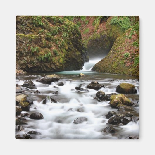 Bridal Veil Herfsten Creek Magnet (Voorkant)