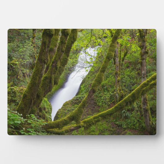 Bridal Veil Herfsten Fotoplaat (voorkant)