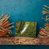 Bridal Veil Herfsten Fotoplaat (Zijkant)