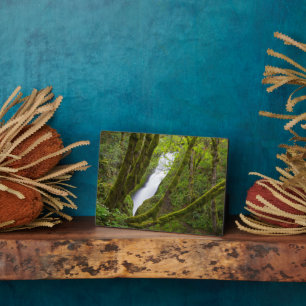 Bridal Veil Herfsten Fotoplaat