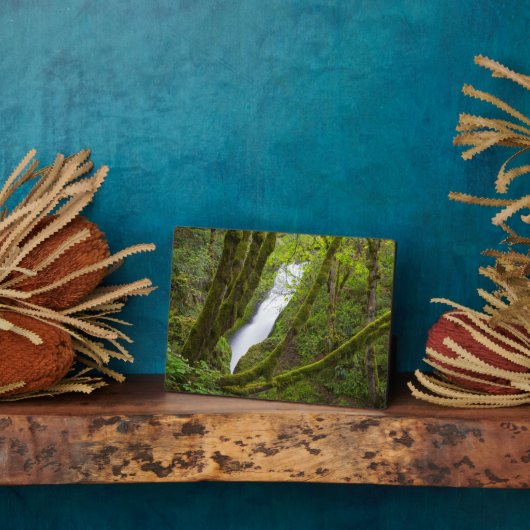 Bridal Veil Herfsten Fotoplaat (Zijkant)