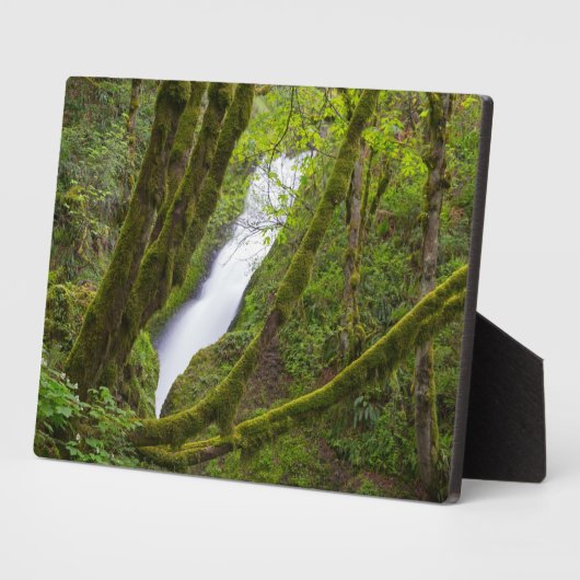 Bridal Veil Herfsten Fotoplaat (Zijkant)