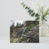Bridal Veil Herfsten in Spearfish Canyon, South Da Briefkaart (Staand voorkant)