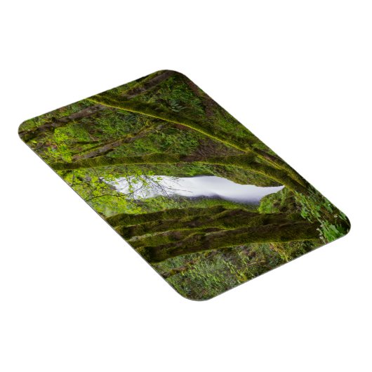 Bridal Veil Herfsten Magneet (Rechterzijde)