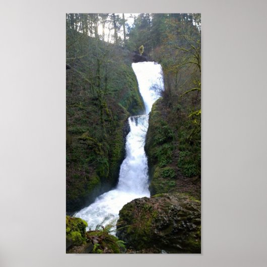 Bridal Veil Herfsten, Oregon Poster (Voorkant)