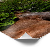 Bridal Veil Herfsten Poster (Hoek)