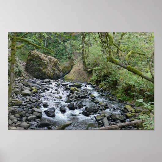 Bridal Veil Herfsten Trail, Oregon Poster (Voorkant)