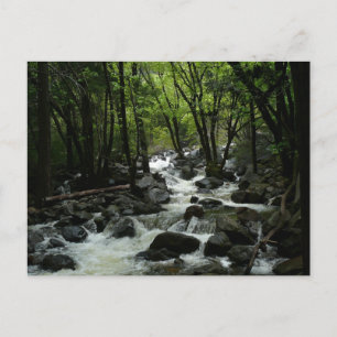 Bridalveil Creek in Yosemite National Park Briefkaart