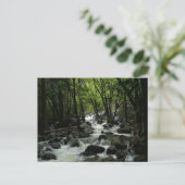 Bridalveil Creek in Yosemite National Park Briefkaart (Staand voorkant)