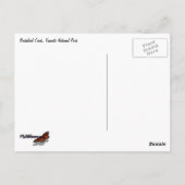 Bridalveil Creek in Yosemite National Park Briefkaart (Achterkant)