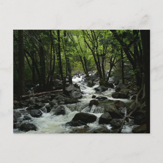 Bridalveil Creek in Yosemite National Park Briefkaart (Voorkant)