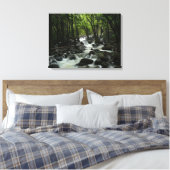 Bridalveil Creek in Yosemite National Park Canvas Afdruk (Insitu (Slaapkamer))