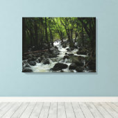 Bridalveil Creek in Yosemite National Park Canvas Afdruk (Insitu (Houten vloer))