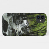 Bridalveil Creek in Yosemite National Park Case-Mate iPhone Case (Achterkant (horizontaal))