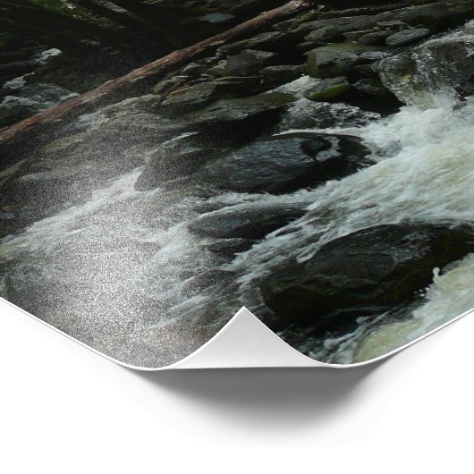 Bridalveil Creek in Yosemite National Park Foto Afdruk (Hoek)