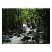 Bridalveil Creek in Yosemite National Park Foto Afdruk (Voorkant)