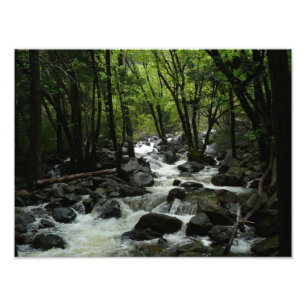 Bridalveil Creek in Yosemite National Park Foto Afdruk