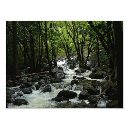 Bridalveil Creek in Yosemite National Park Foto Afdruk (Voorkant)