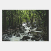 Bridalveil Creek in Yosemite National Park Inpakpapier Vel (Voorkant)