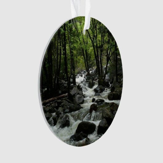 Bridalveil Creek in Yosemite National Park Ornament (voorkant)