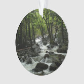 Bridalveil Creek in Yosemite National Park Ornament (voorkant)